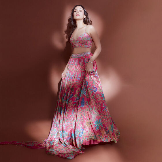 Swan Song Lehenga Set - Pink, , image 5